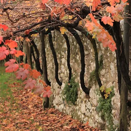 Biker's Wine House * Rovereto (Trentino Alto Adige)